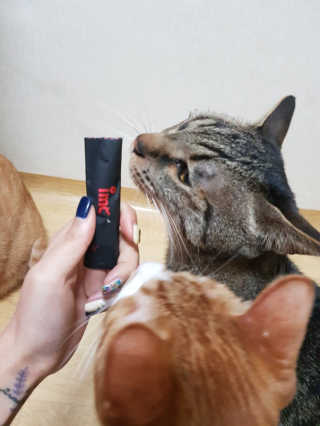 이용재님이 올린 리뷰 사진 2