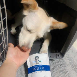 욘짱님이 올린 리뷰 사진 2