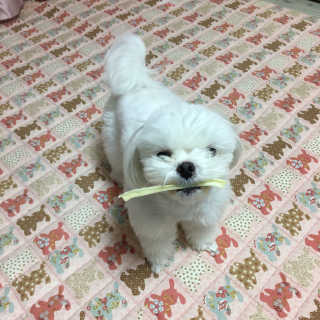 eunjiiiiii님이 올린 리뷰 사진 1