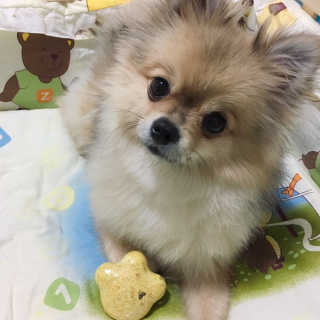Ariel님이 올린 리뷰 사진 3