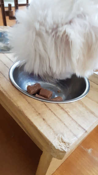 루루님이 올린 리뷰 사진 4