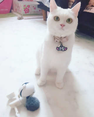 효니님이 올린 리뷰 사진 1