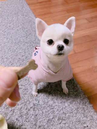 라움님이 올린 리뷰 사진 3