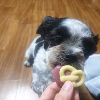 가횽님이 올린 리뷰 사진 4