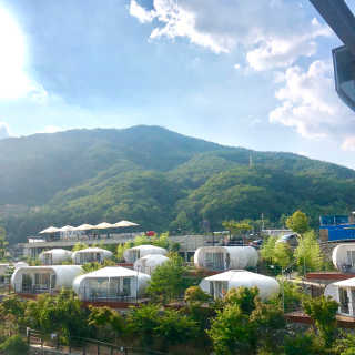 지니님이 올린 리뷰 사진 4