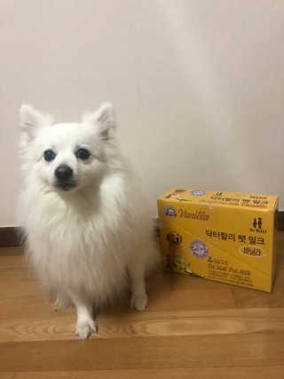 닥터할리펫밀크 8종 — 5점을 준 리뷰어가 2020년 2월 올린 사용 사진