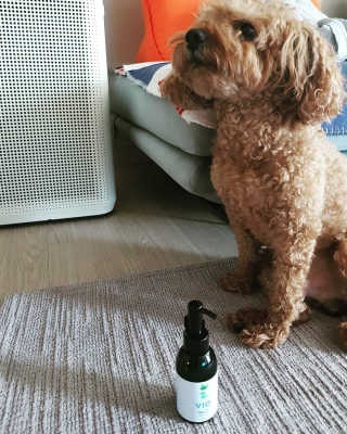 narae님이 올린 리뷰 사진 2