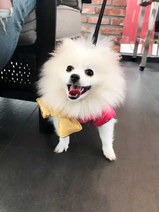 장선희님이 올린 리뷰 사진 2