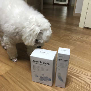 도미노님이 올린 리뷰 사진 2