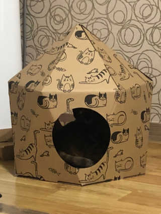 [펫토리아] 한발뚝딱 고양이 스크래쳐 BEST상품 — 3.5점을 준 리뷰어가 2019년 2월 올린 사용 사진