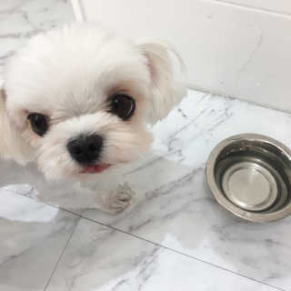 갓쏘님이 올린 리뷰 사진 1