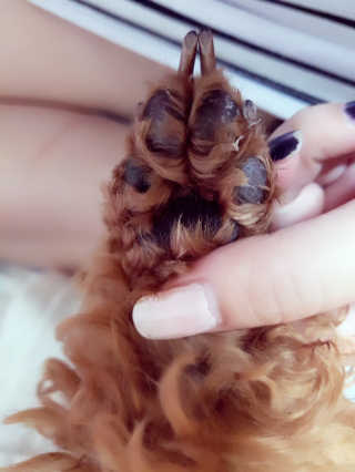 김은지님이 올린 리뷰 사진 2