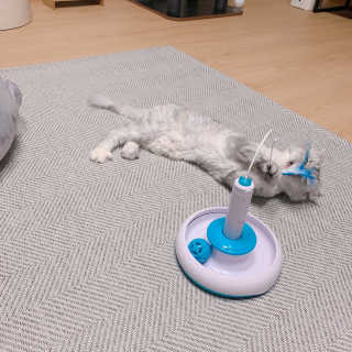 bee님이 올린 리뷰 사진 1