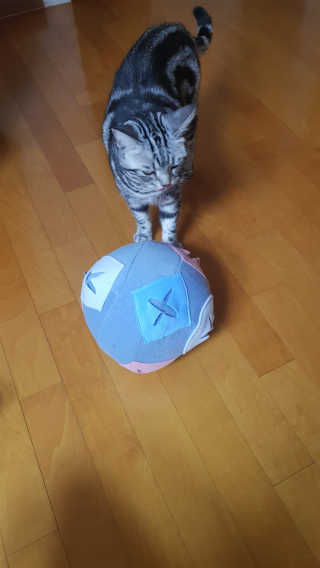 고진호님이 올린 리뷰 사진 1
