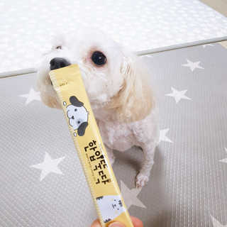 [펫토리아]짜먹는 한입뚝딱 강아지.고양이 마약간식 — 5점을 준 리뷰어가 2019년 7월 올린 사용 사진