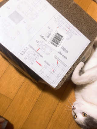 yyyy님이 올린 리뷰 사진 1