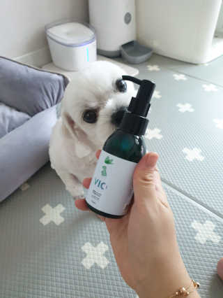 뽀야님이 올린 리뷰 사진 3