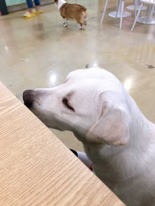 cocoa님이 올린 리뷰 사진 2
