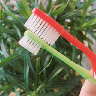 거져줄께잘사가님이 올린 리뷰 사진 3