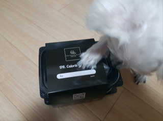 제니님이 올린 리뷰 사진 2