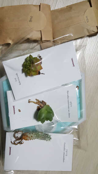 유진오님이 올린 리뷰 사진 1