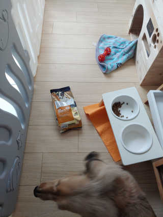 정현균님이 올린 리뷰 사진 2