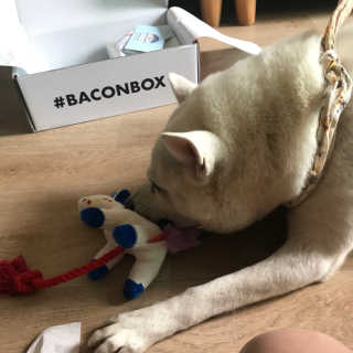 BooheeCho님이 올린 리뷰 사진 2