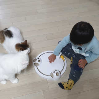 영주촌놈님이 올린 리뷰 사진 1