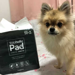 Ariel님이 올린 리뷰 사진 1
