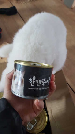 논지님이 올린 리뷰 사진 3