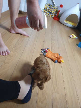 사랑꾼님이 올린 리뷰 사진 3