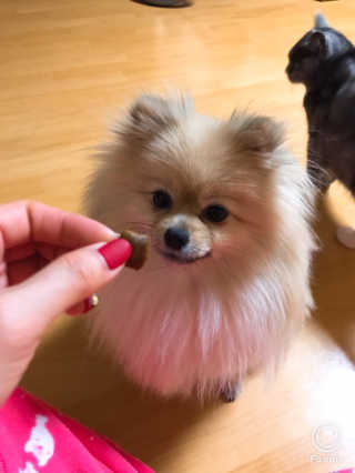 민토리님이 올린 리뷰 사진 4