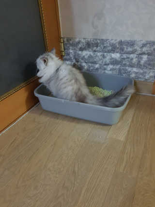 민댕댕이님이 올린 리뷰 사진 3