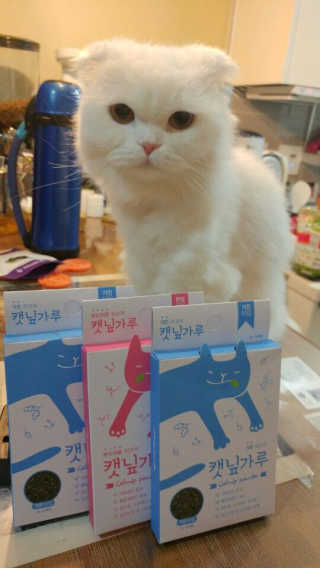 지우정님이 올린 리뷰 사진 2