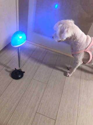 영쮸양님이 올린 리뷰 사진 4