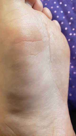 fellica님이 올린 리뷰 사진 4