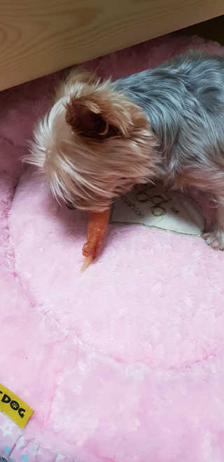 Jy님이 올린 리뷰 사진 2