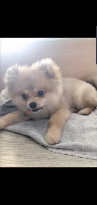 한서윤님이 올린 리뷰 사진 3