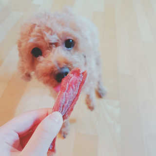 유나님이 올린 리뷰 사진 2