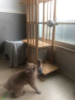 SolheeNamgoong님이 올린 리뷰 사진 1