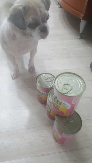 보리엄마님이 올린 리뷰 사진 1