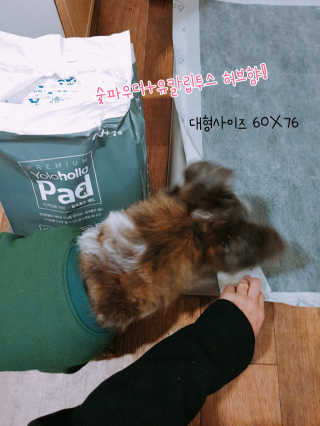 고구밍님이 올린 리뷰 사진 2