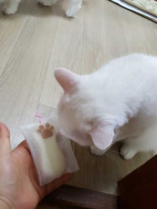 피오나공주님이 올린 리뷰 사진 1