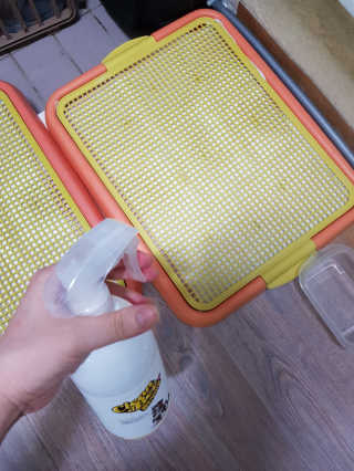 YooneeAhn님이 올린 리뷰 사진 3