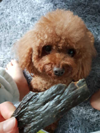 이람람님이 올린 리뷰 사진 3