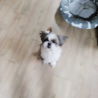 응디니님이 올린 리뷰 사진 4