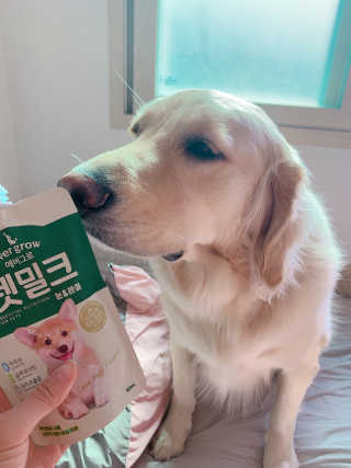 [빙그레] 에버그로 생유산균 1봉（10포입）+펫밀크2팩 — 5점을 준 리뷰어가 2019년 5월 올린 사용 사진