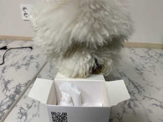 [펫토리아] 뚝딱케어 강아지 고양이 다목적세정제 — 5점을 준 리뷰어가 2020년 2월 올린 사용 사진
