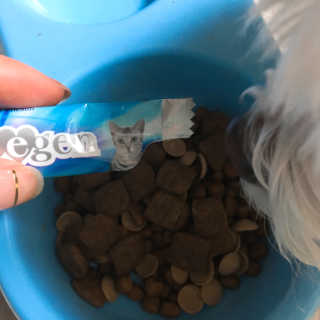 짓우님이 올린 리뷰 사진 3