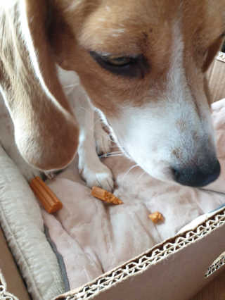beaglelove님이 올린 리뷰 사진 4